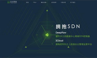 云杉網絡完成1100萬美元B輪融資，引領國內SDN技術服務新浪潮