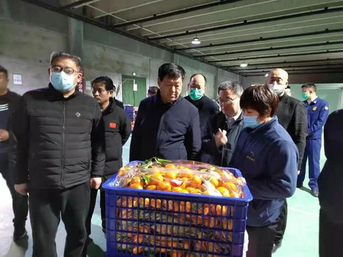 張勝明副市長赴濟(jì)寧蔬菜批發(fā)市場(chǎng)調(diào)研 筑牢食品安全防線，守護(hù)百姓“菜籃子”安全
