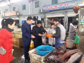開發(fā)區(qū)分局配合承檢單位開展食品監(jiān)督抽檢 嚴(yán)把食用農(nóng)產(chǎn)品批發(fā)源頭關(guān)